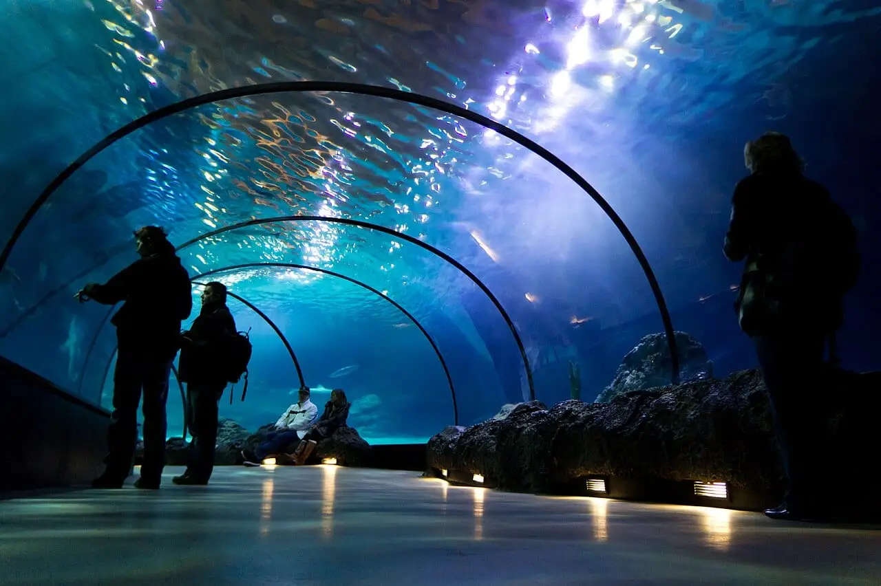 Visitors in a walk-through aquarium tunnel