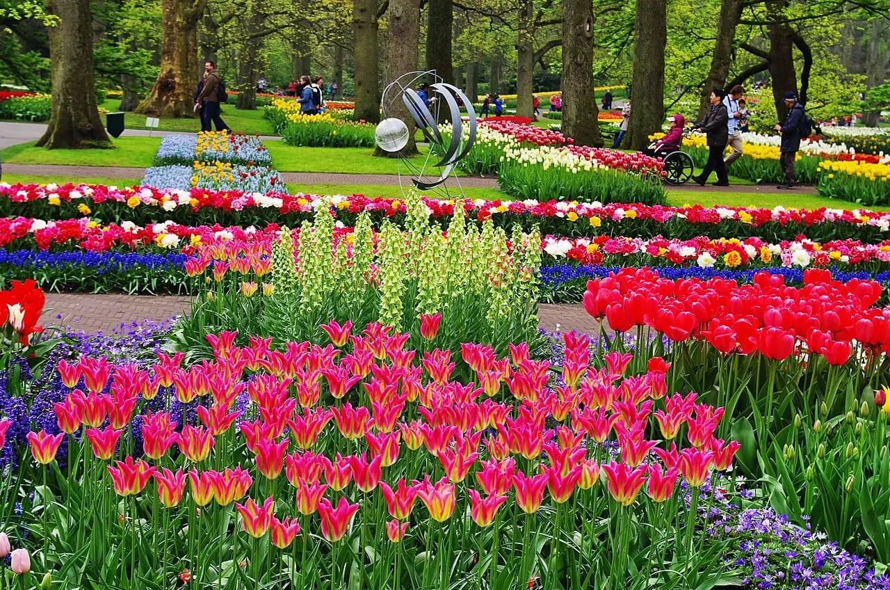 Tulip beds at Keukenhof