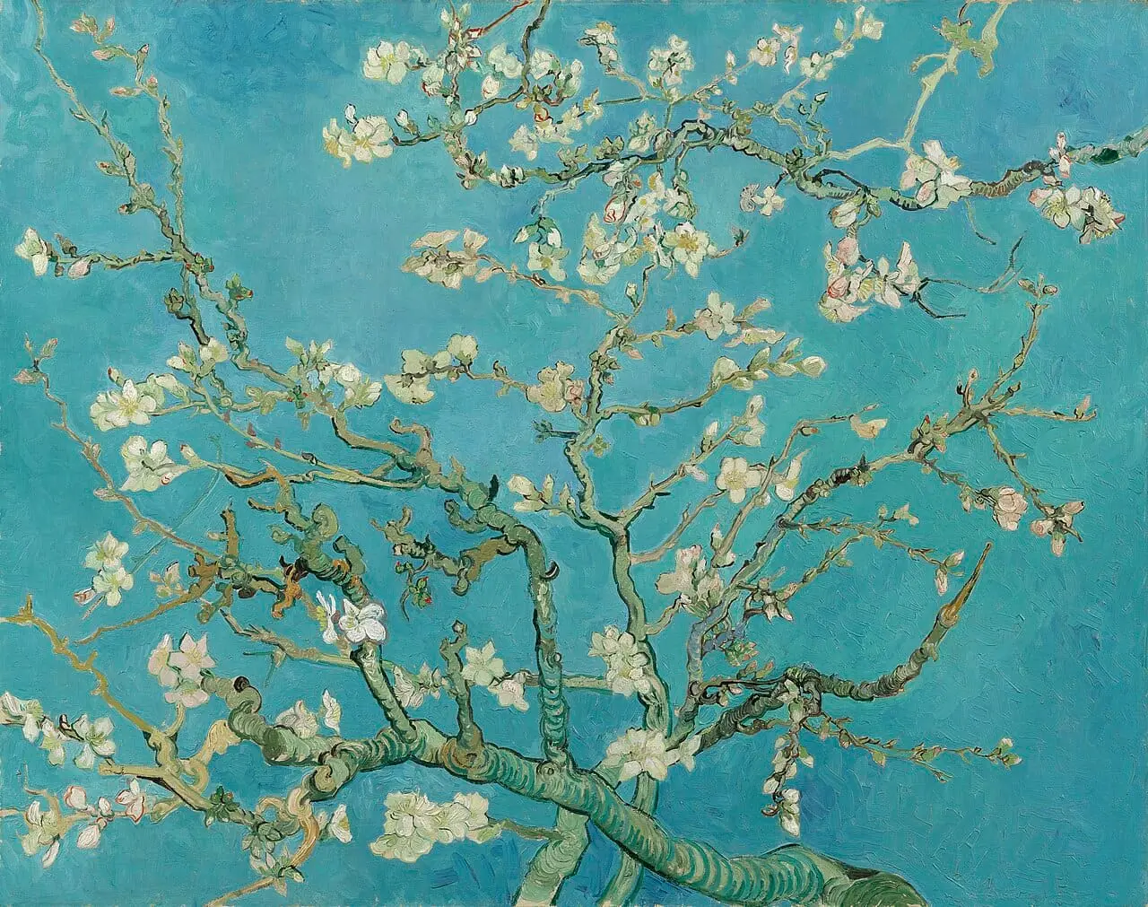Van Gogh's Almond Blossom