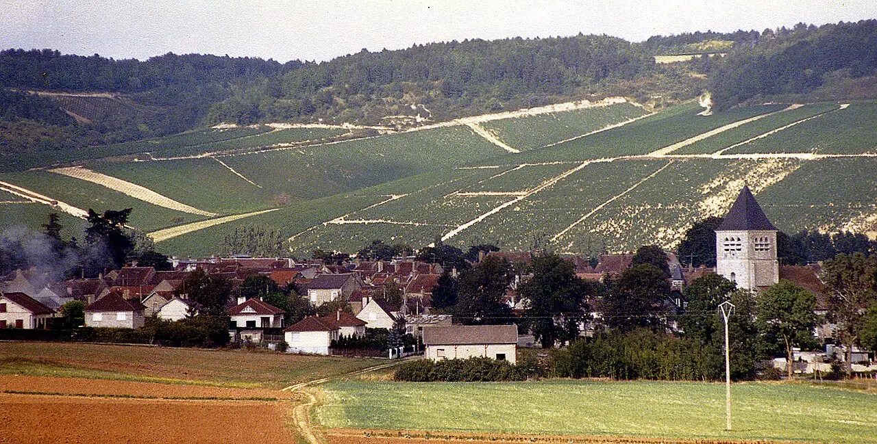 A village among the Champagne vineyards