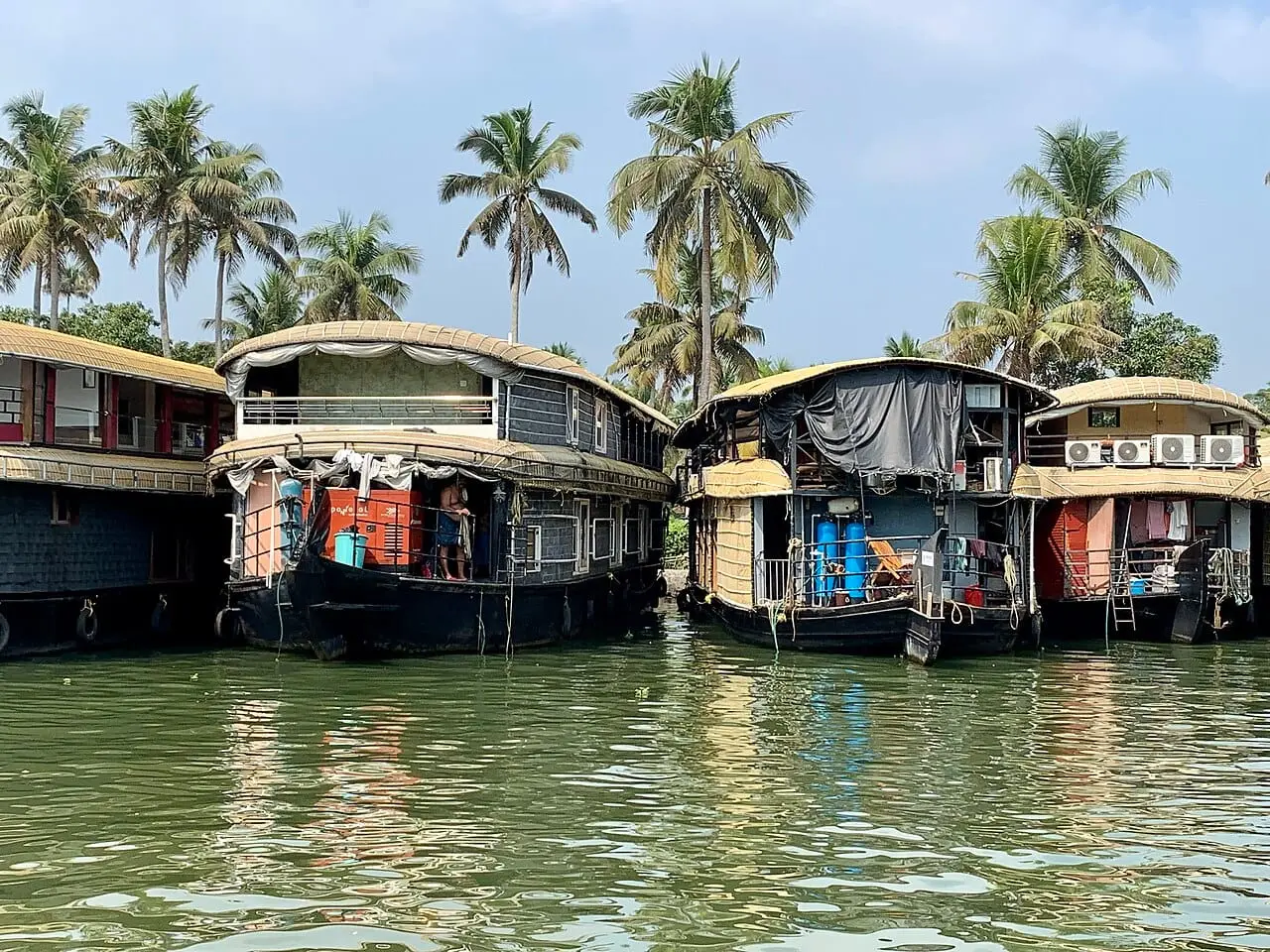 Houseboats moored among the palms at Alleppey
