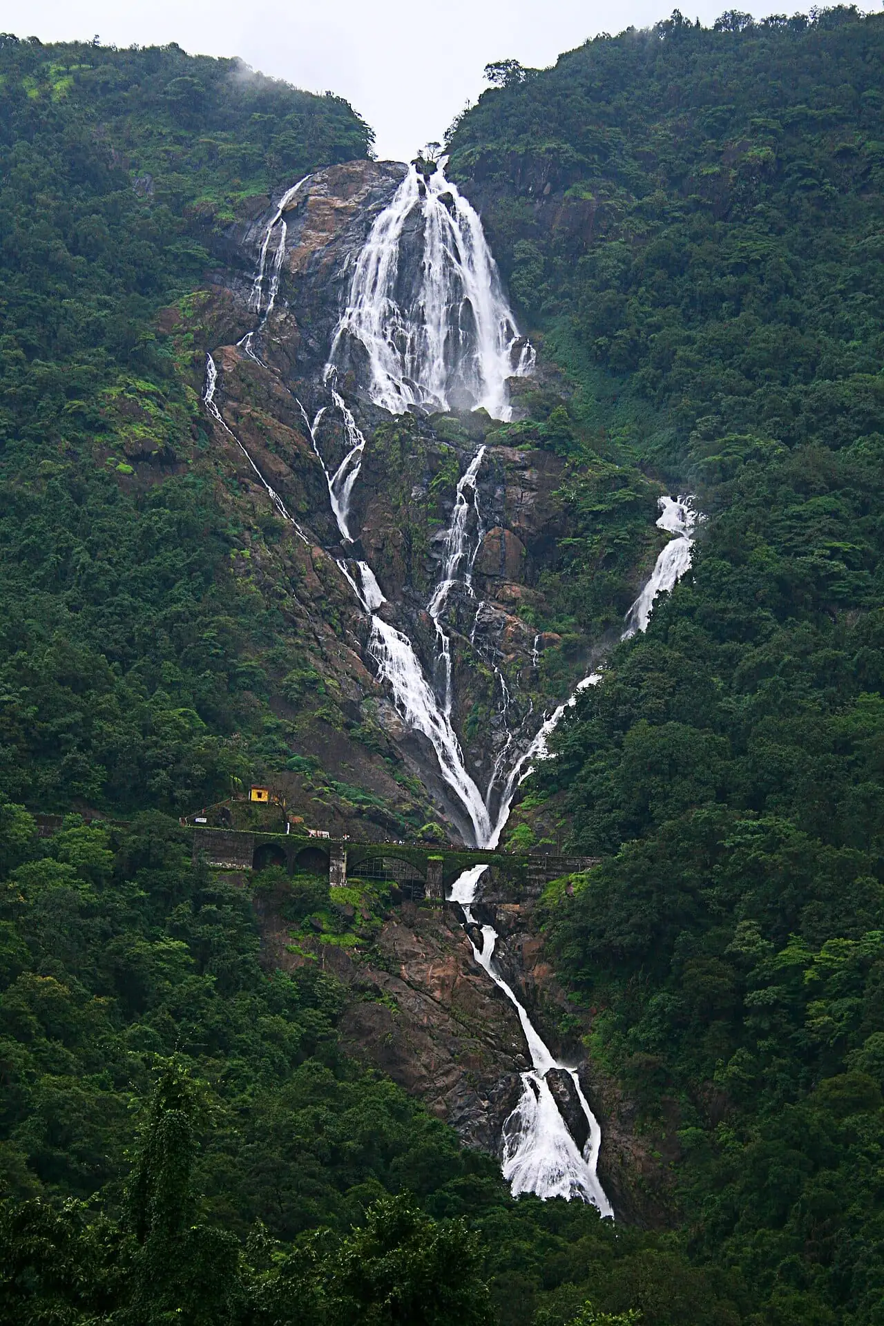 The full drop of Dudhsagar falls through the jungle