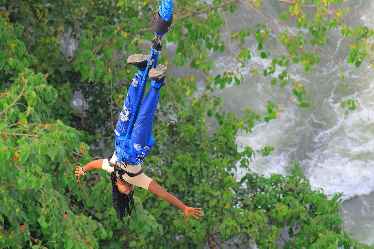 A bungee jumper falling towards the trees