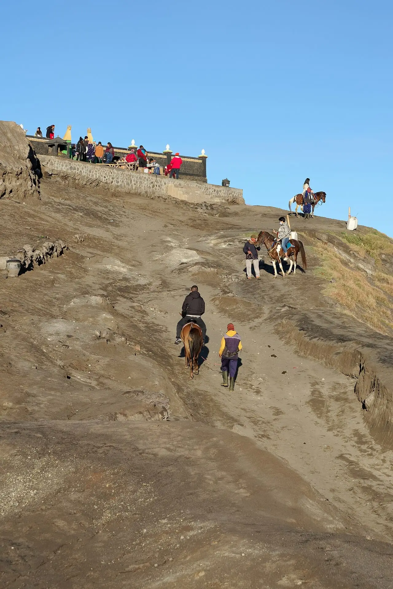 Horses on the slopes of the Bromo caldera