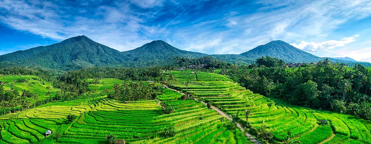 Jatiluwih rice terraces below the mountains