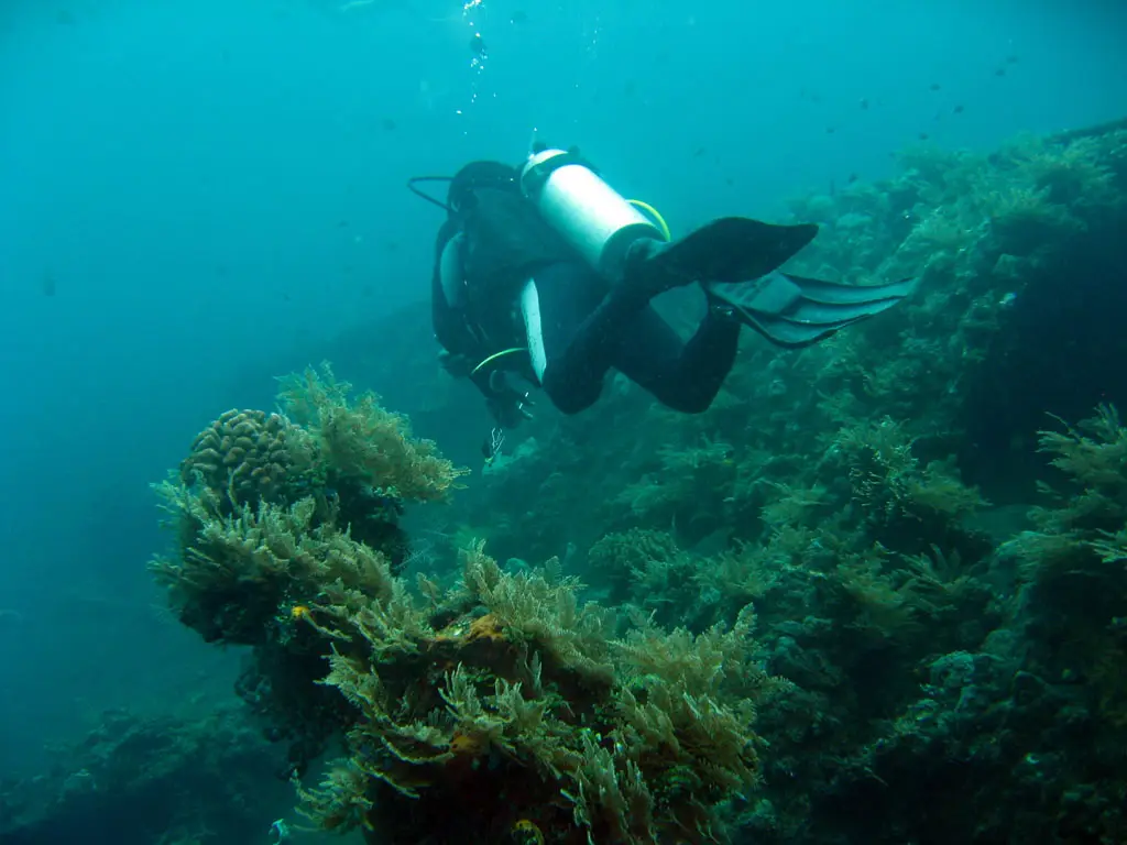 A diver at the USAT Liberty wreck in Tulamben