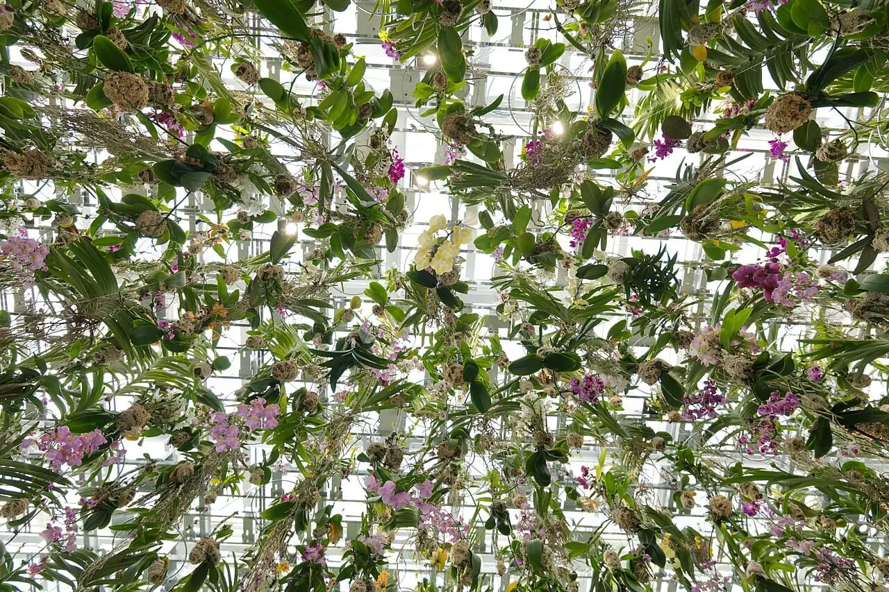 The Floating Flower Garden of hanging orchids