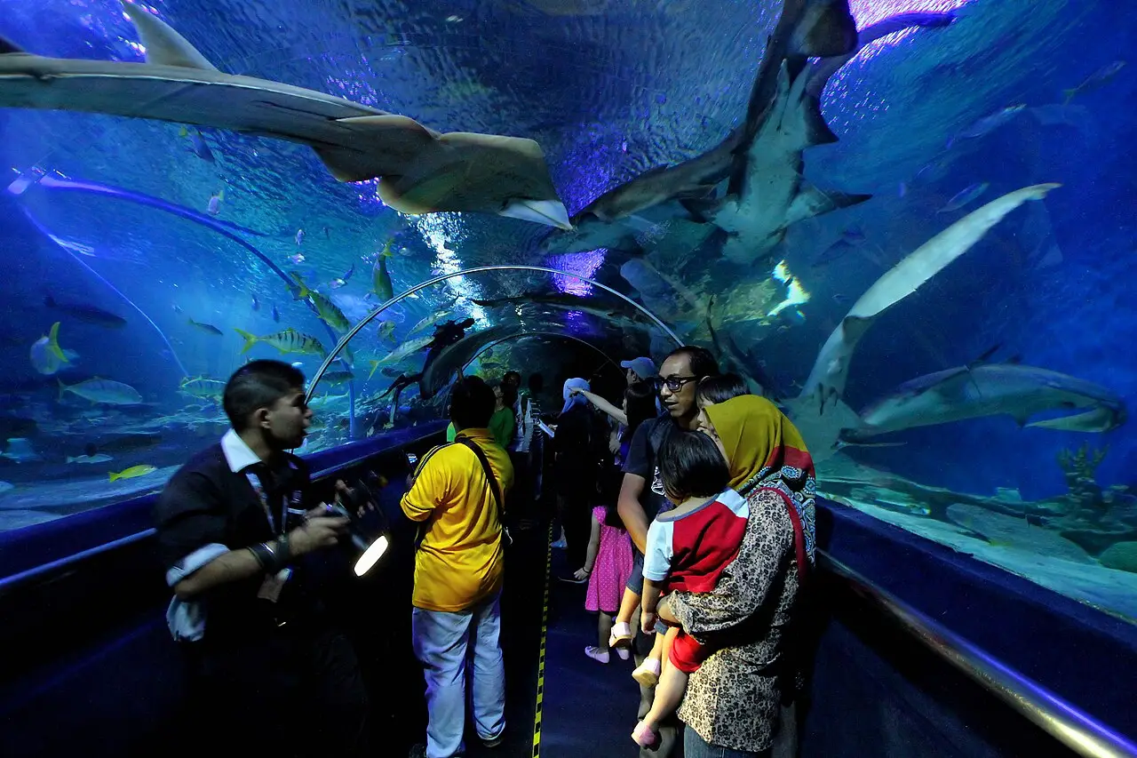 Visitors in the underwater tunnel at Aquaria KLCC