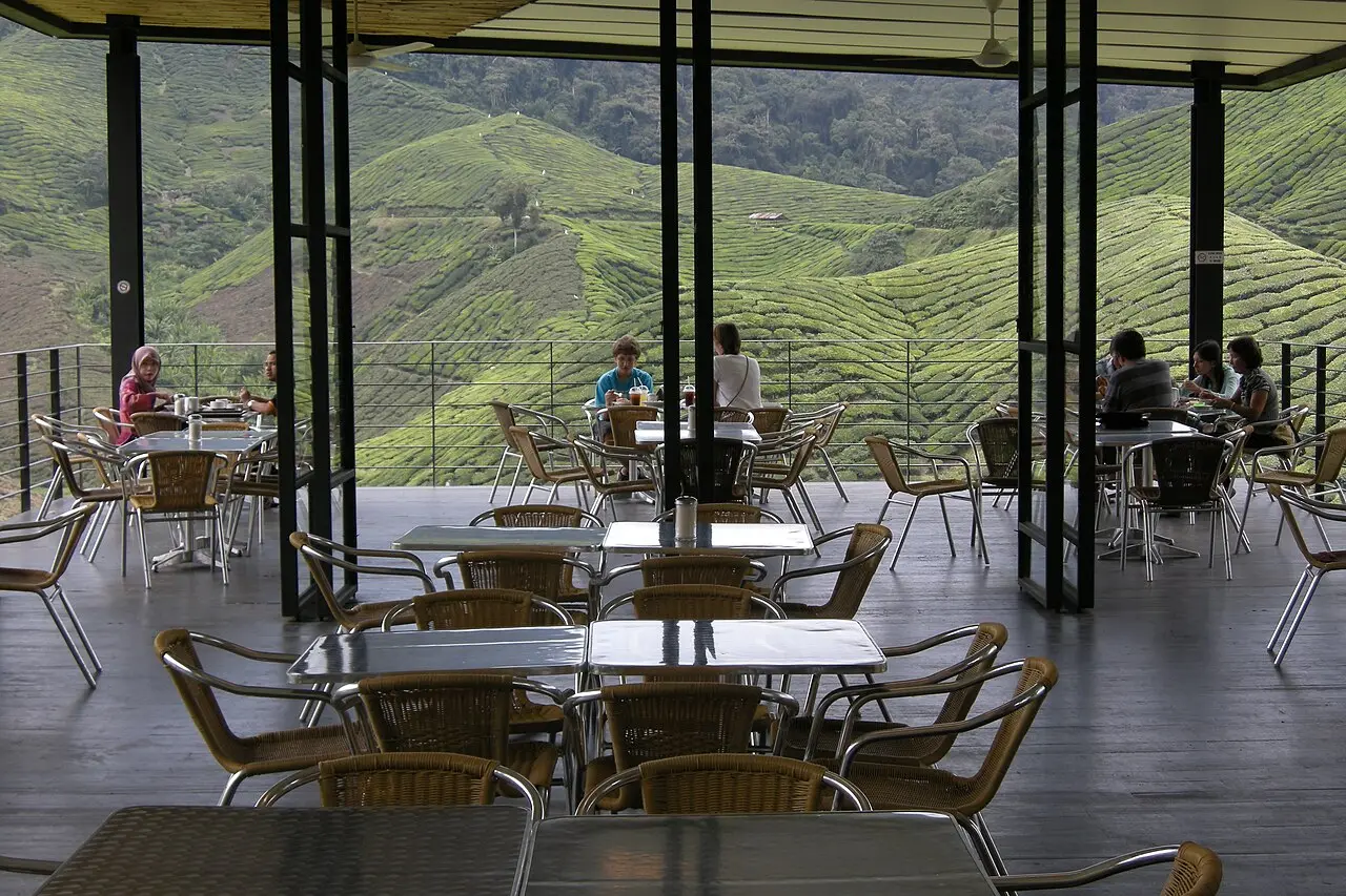 A tea cafe overlooking the plantation