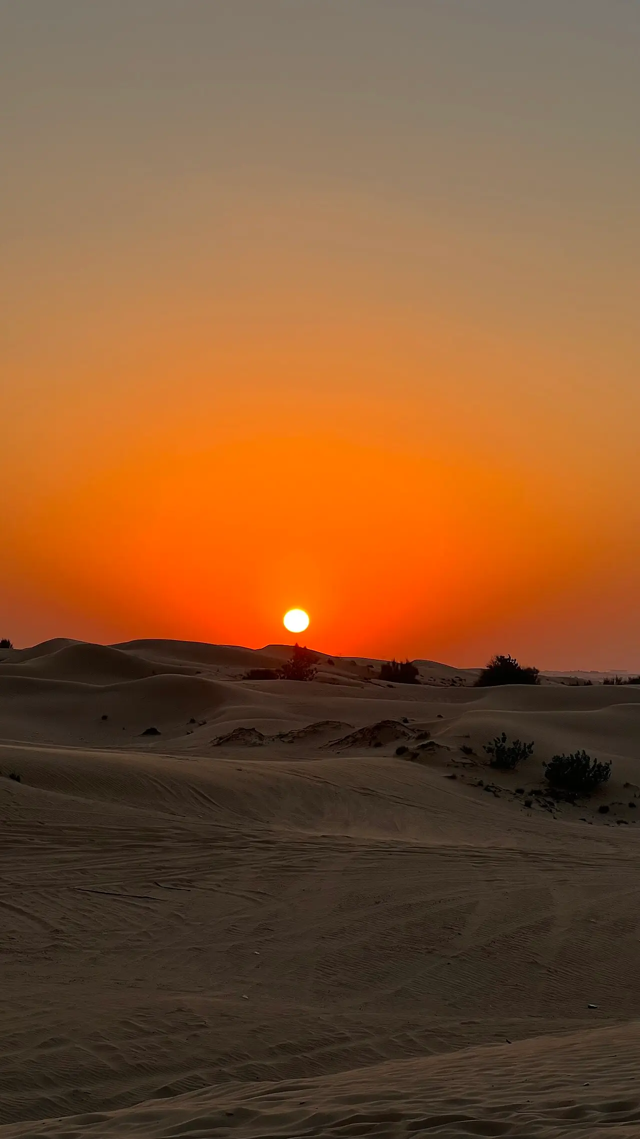 Sunset over the Dubai desert