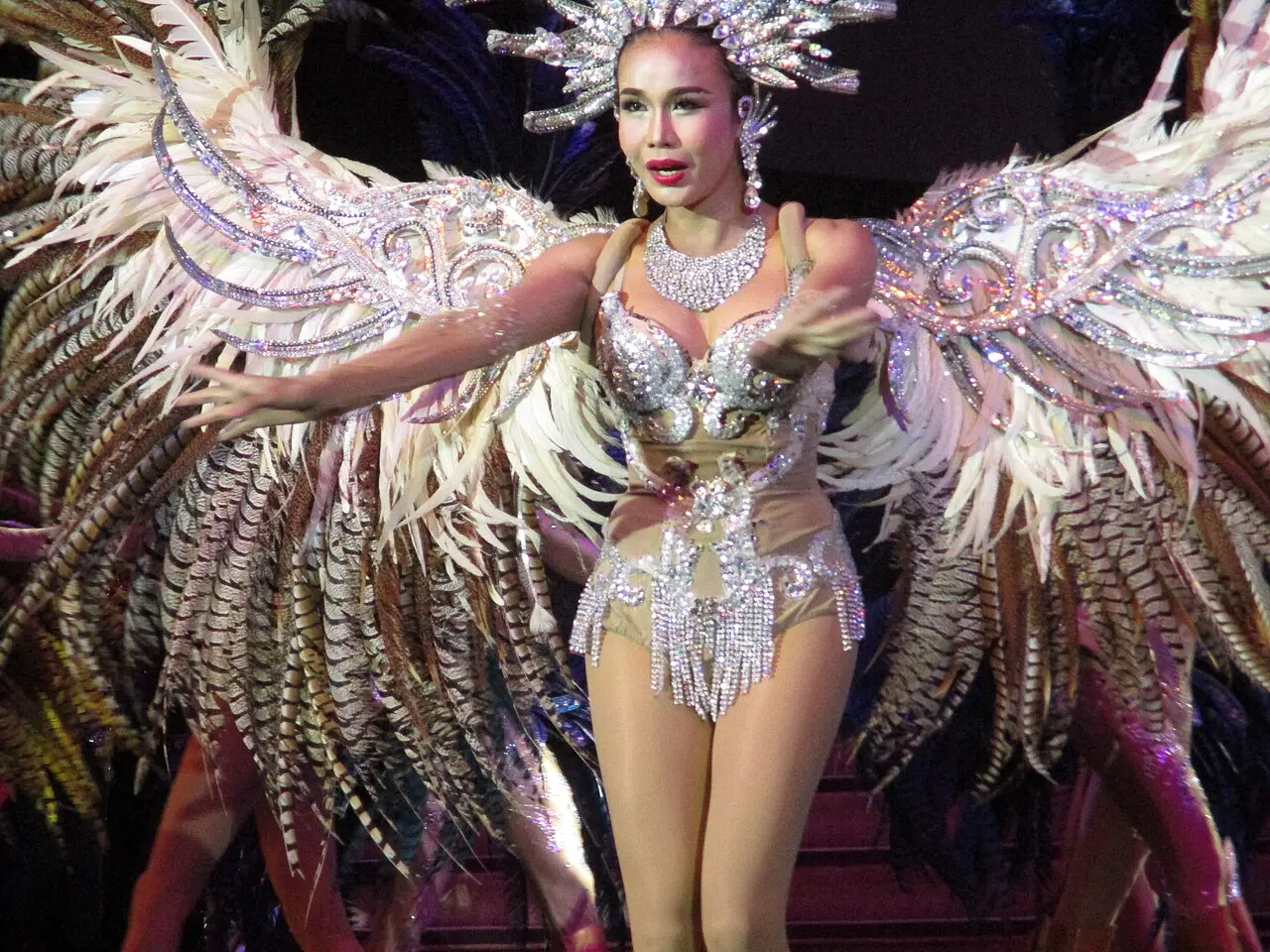 A performer in a feathered costume