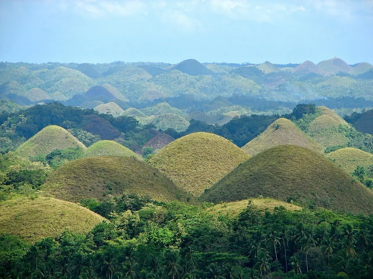 The Chocolate Hills of Bohol