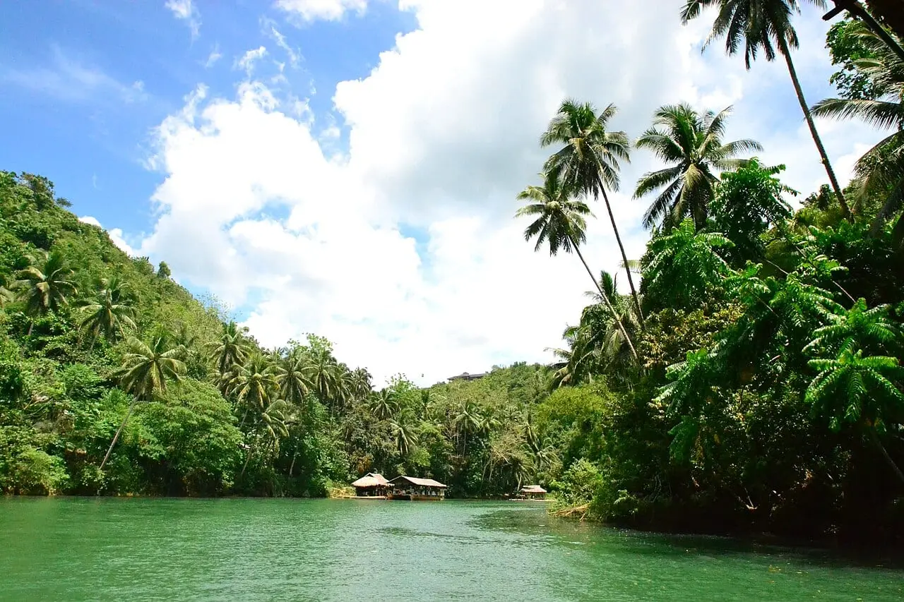 The palm-lined Loboc River