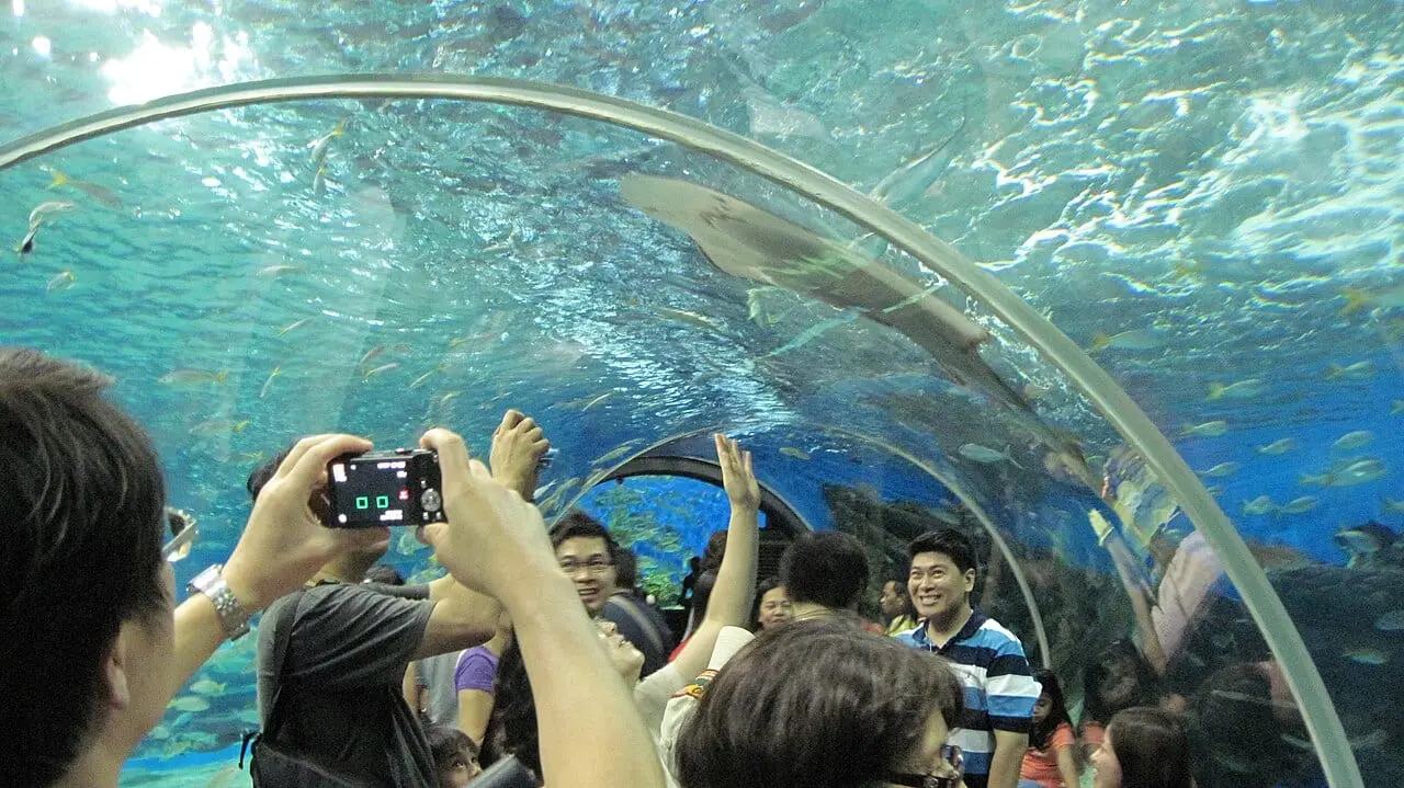 Visitors in the Oceanarium tunnel at Manila Ocean Park