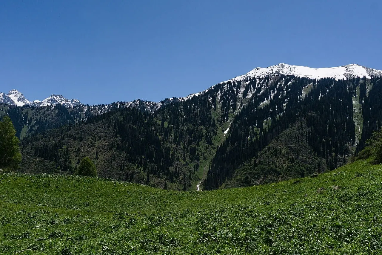Forested slopes and snow peaks in the Ile-Alatau