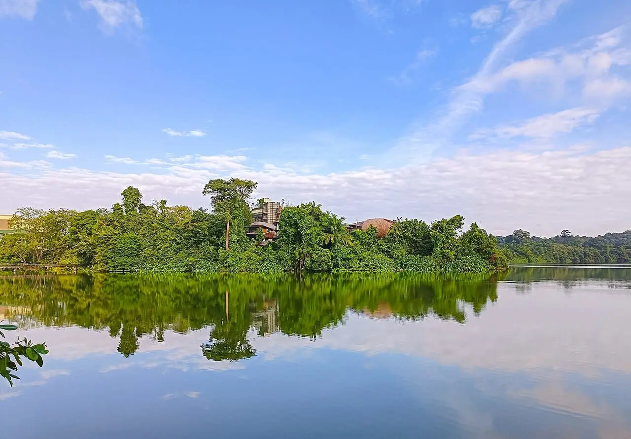 The Mandai boardwalk beside the reservoir