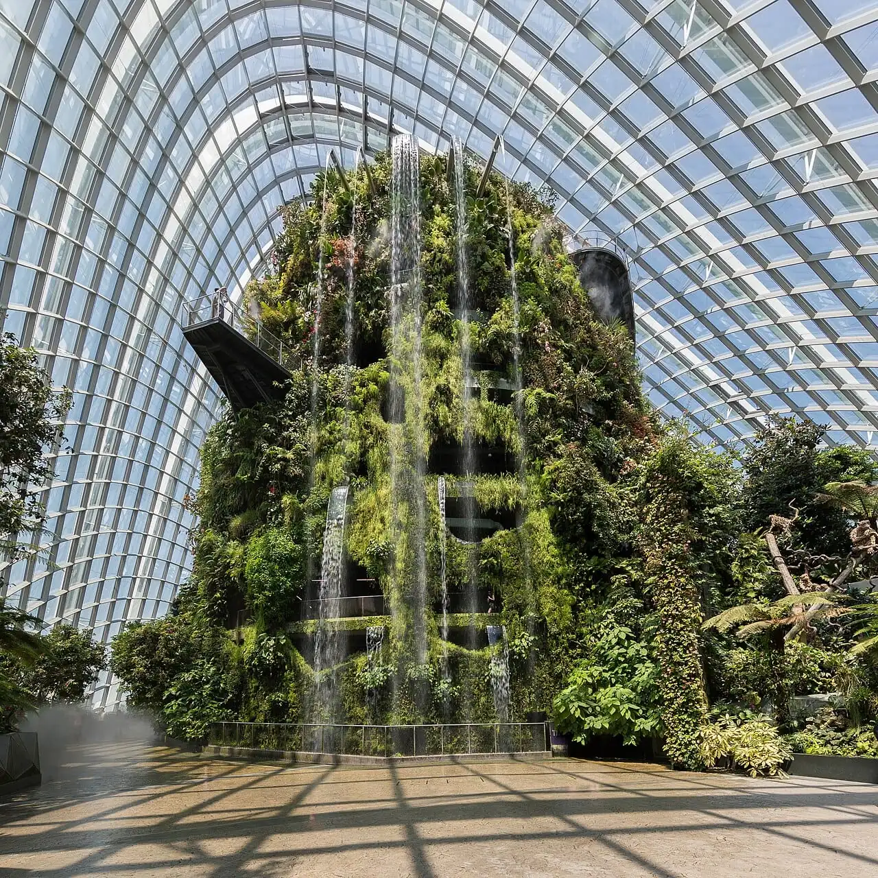 The plant-covered Cloud Mountain inside the Cloud Forest dome