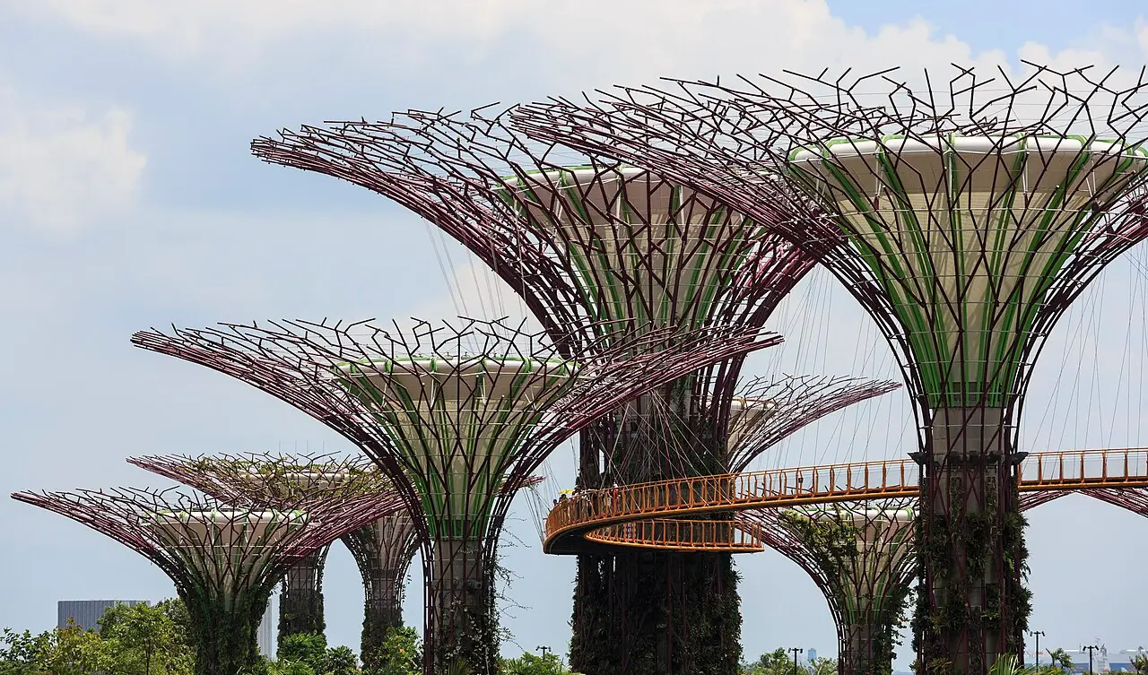 The Supertree Grove with its skyway, seen from above