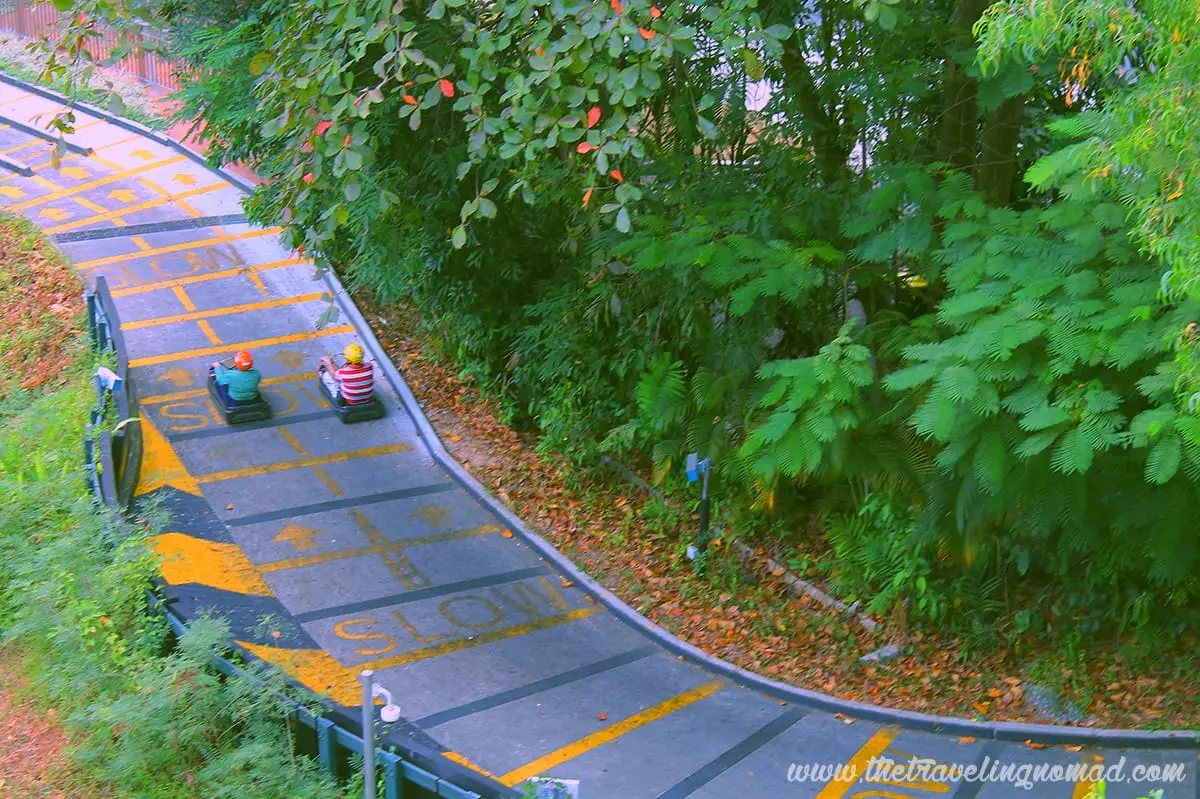 Luge carts winding down the track through Sentosa's greenery