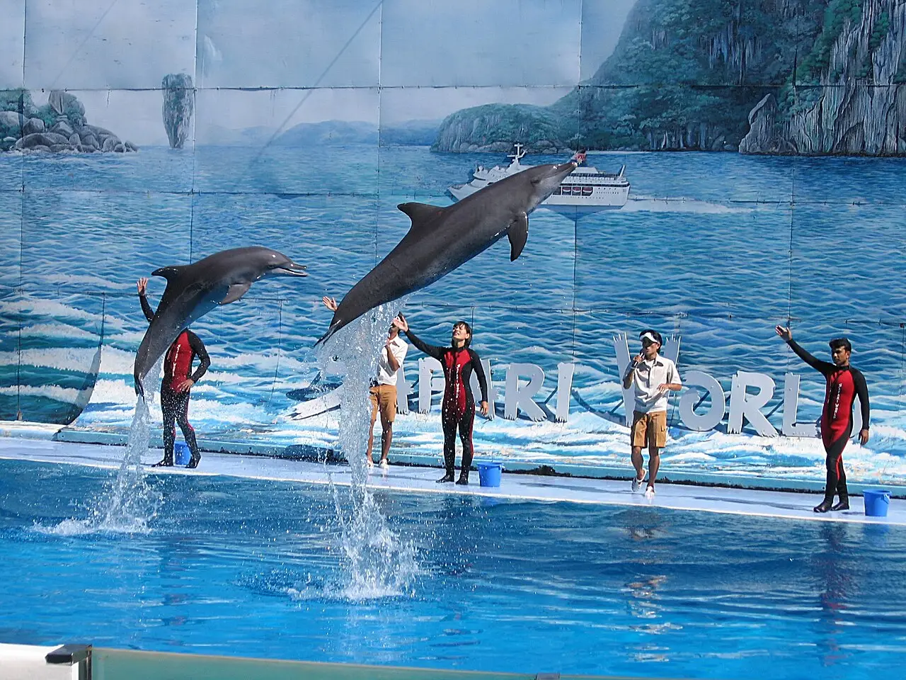 Dolphins leaping during the show at Safari World Marine Park