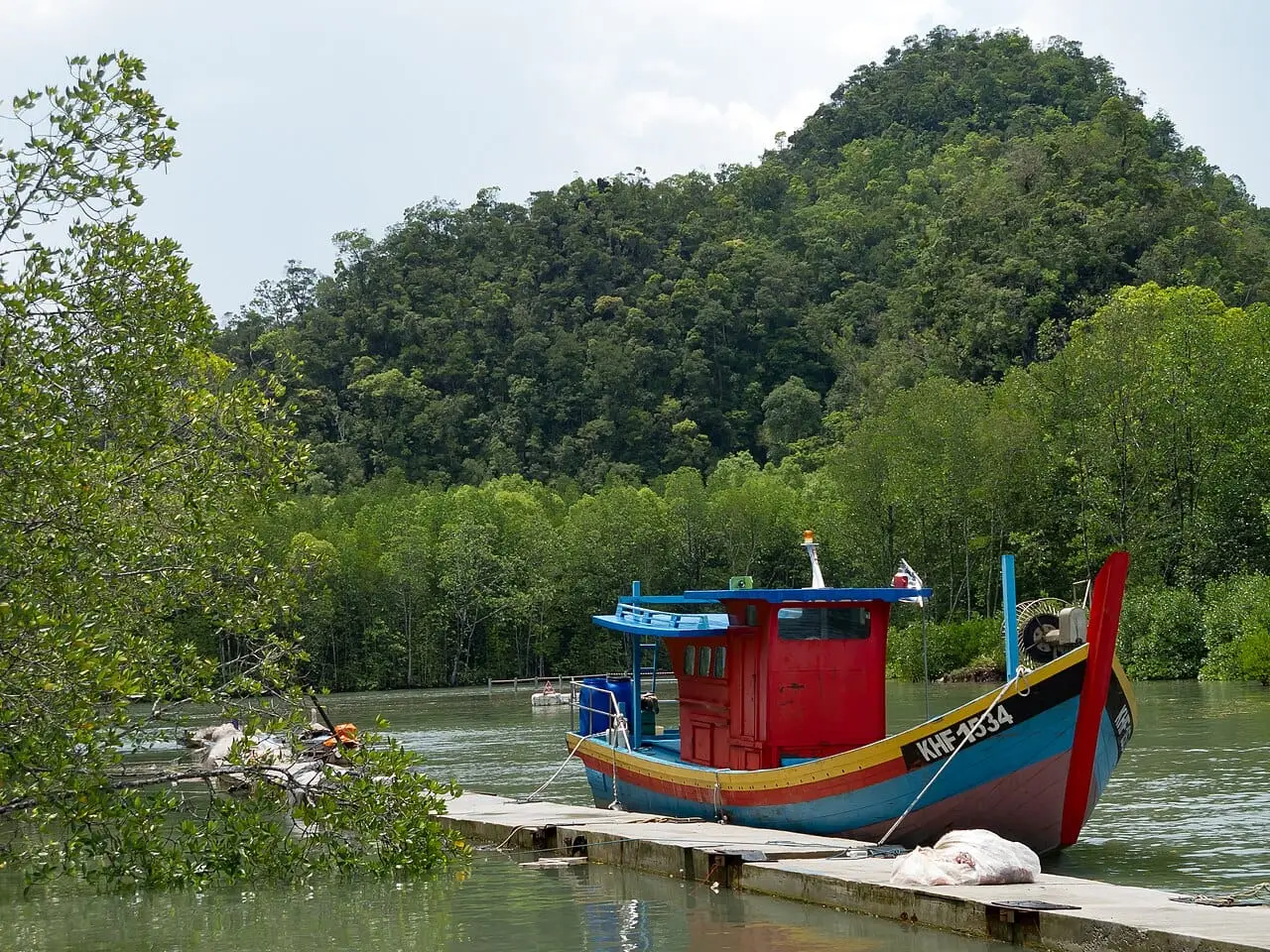 Tour boats at the mangrove jetty in Langkawi
