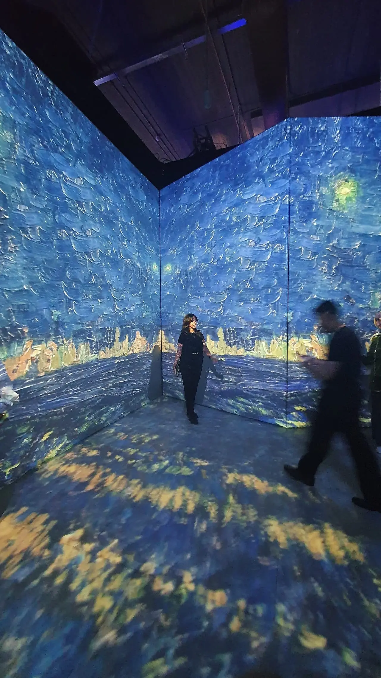 A visitor inside an immersive digital art room