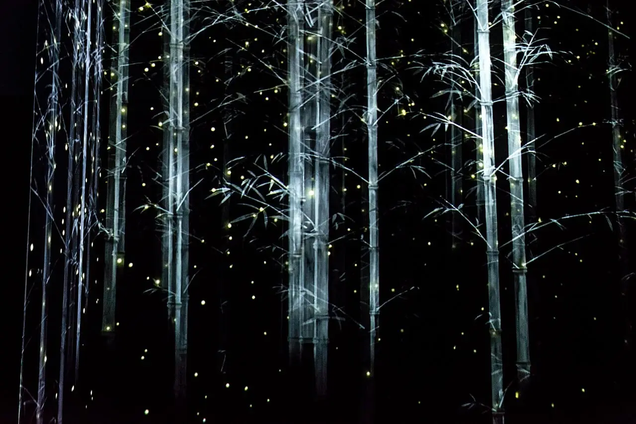 An immersive room of hanging lights