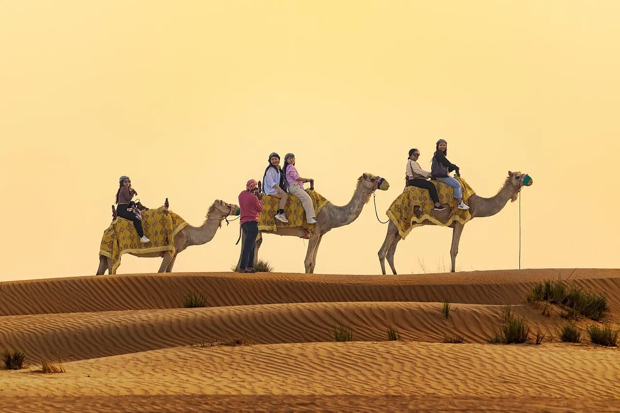 A camel caravan crossing the dunes