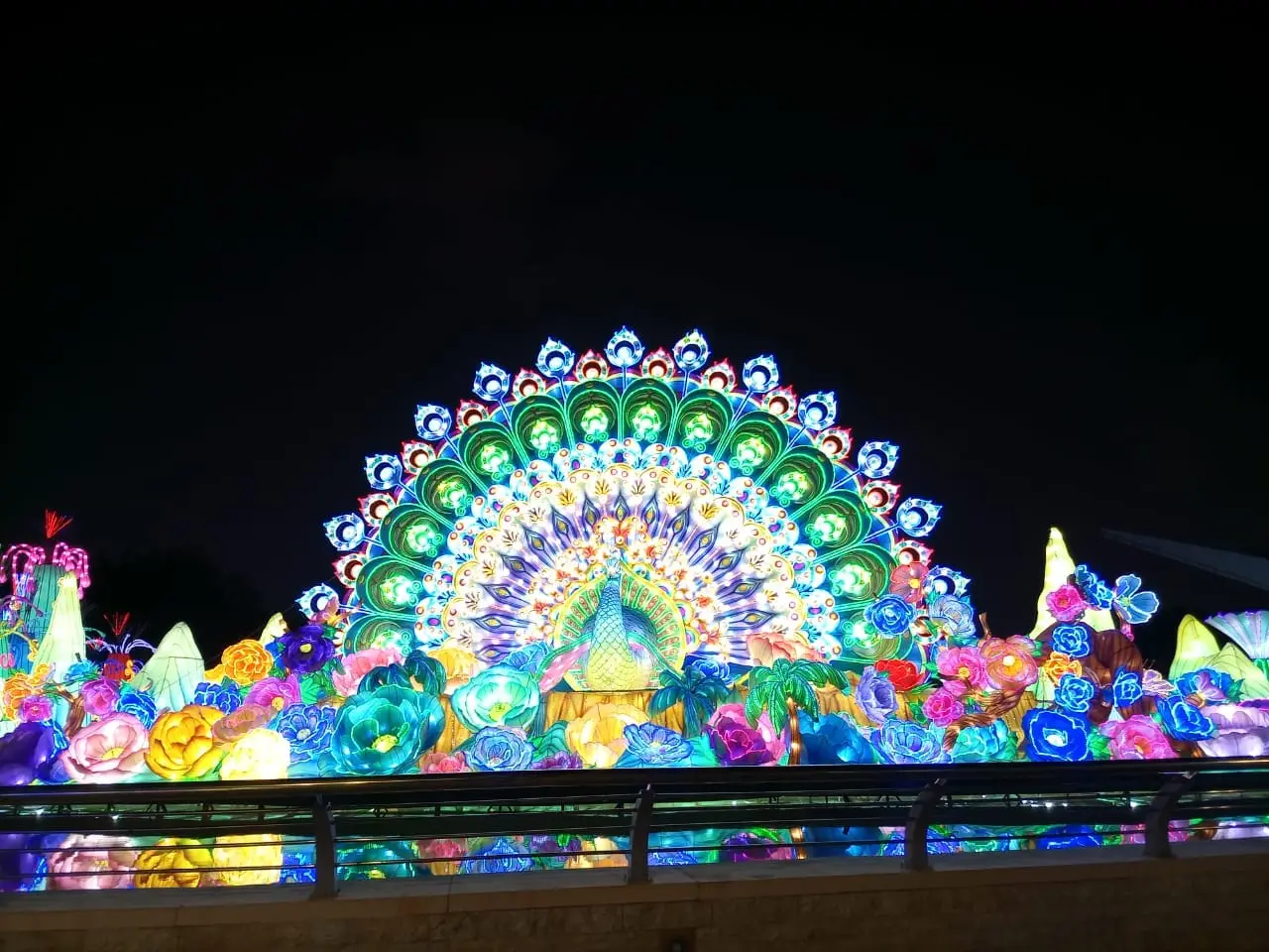 An illuminated peacock at Garden Glow