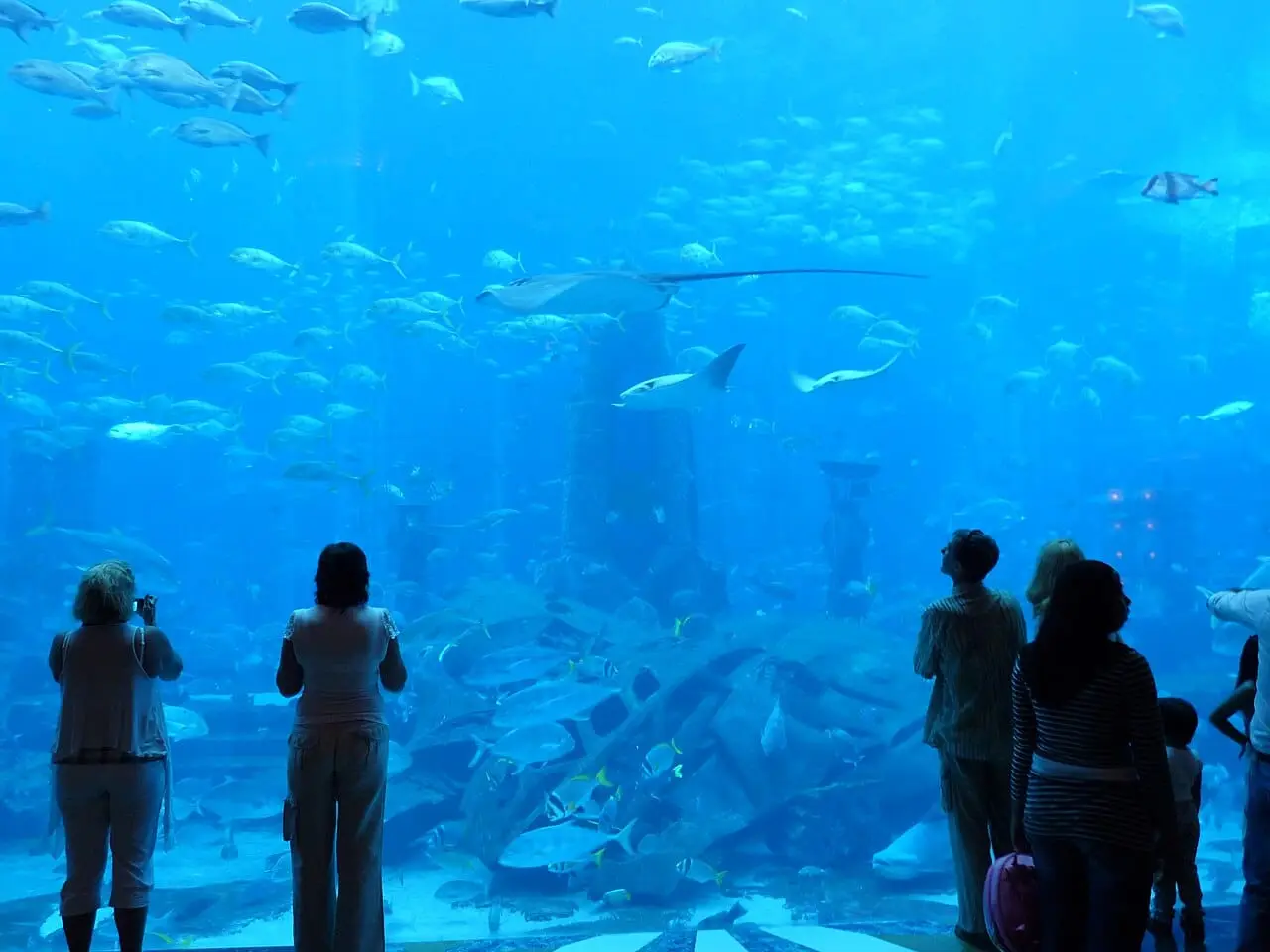 Visitors at the Lost Chambers Aquarium window