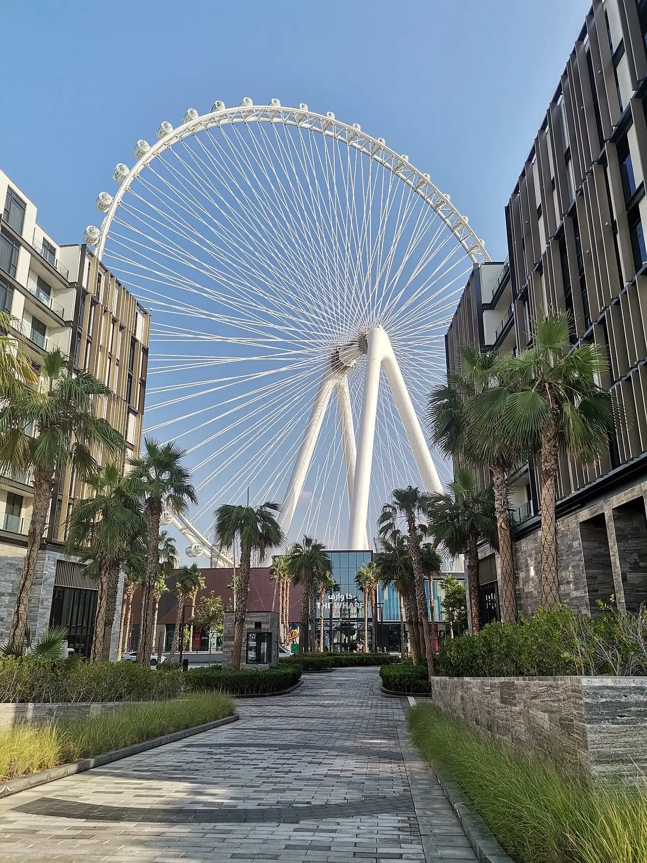 Ain Dubai on Bluewaters Island, home of Madame Tussauds Dubai