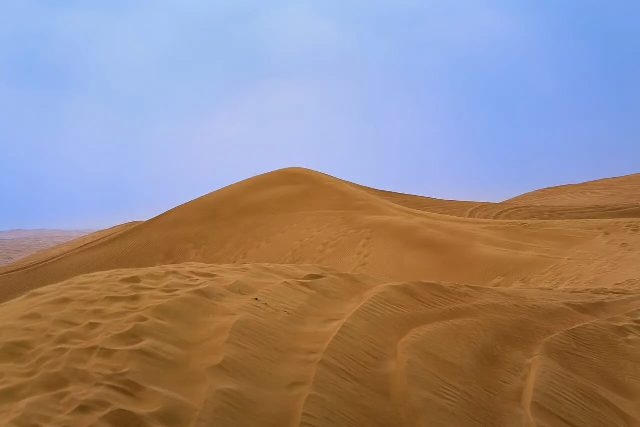 Dunes in the morning light