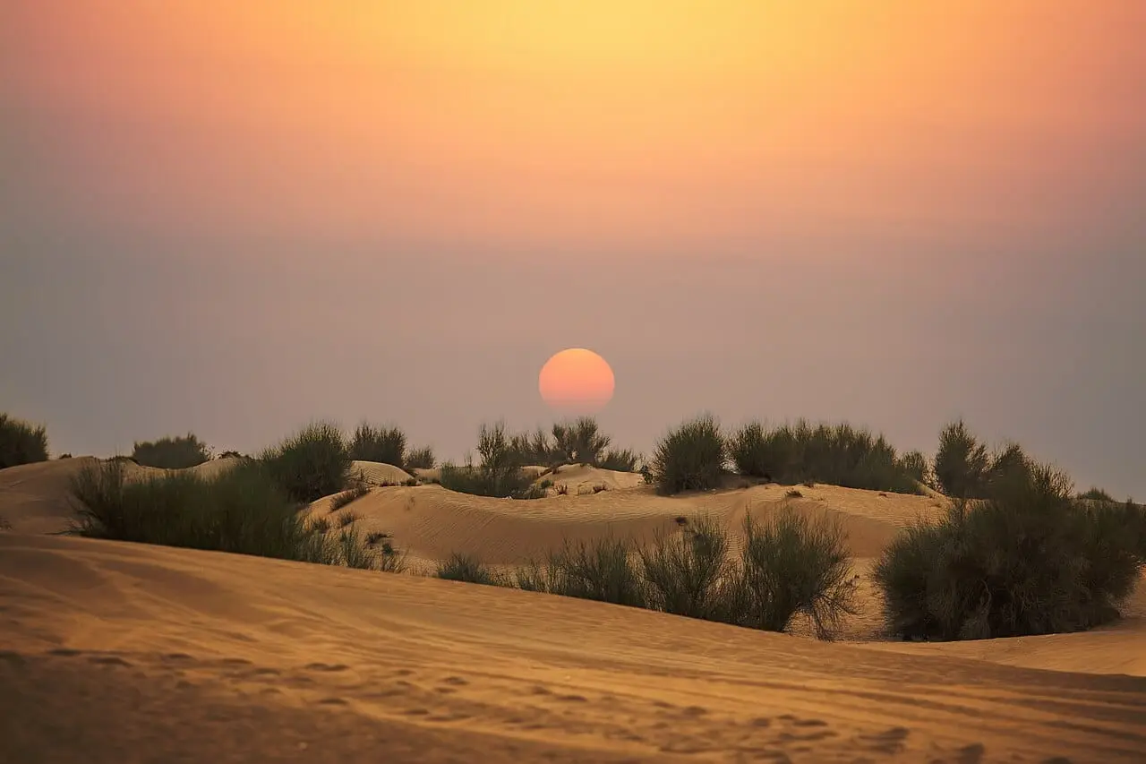 Sunset in the Dubai desert
