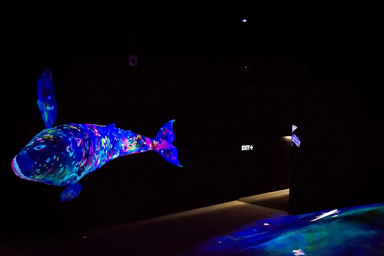 A whale of light swimming across a dark room