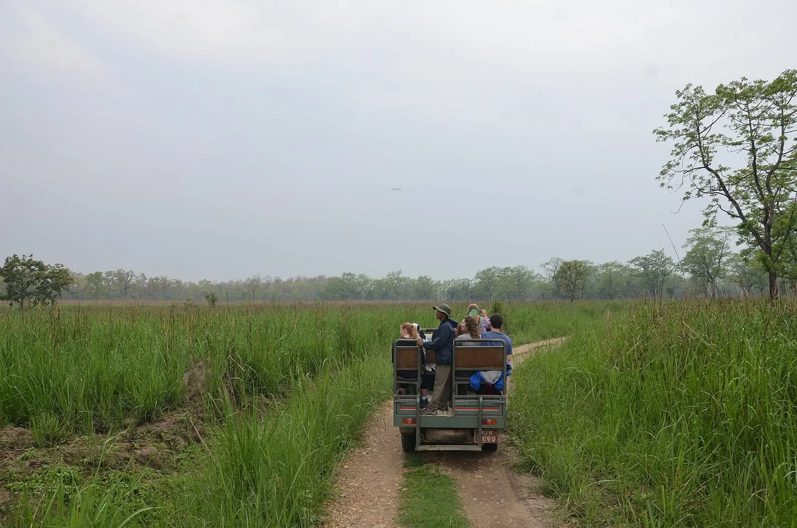 A safari jeep on a grassland track in Chitwan