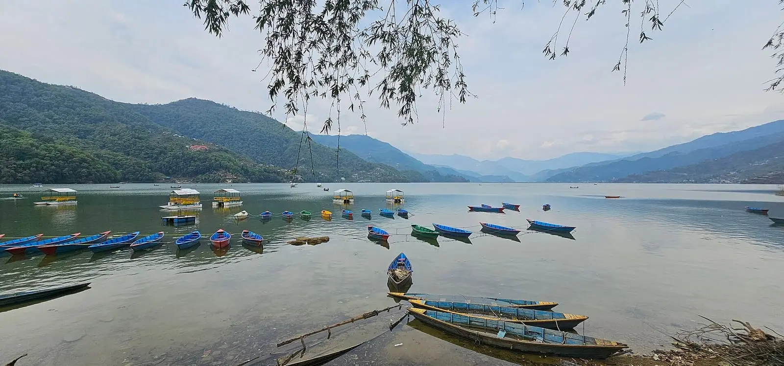 Rowing boats moored on Phewa Lake, Pokhara