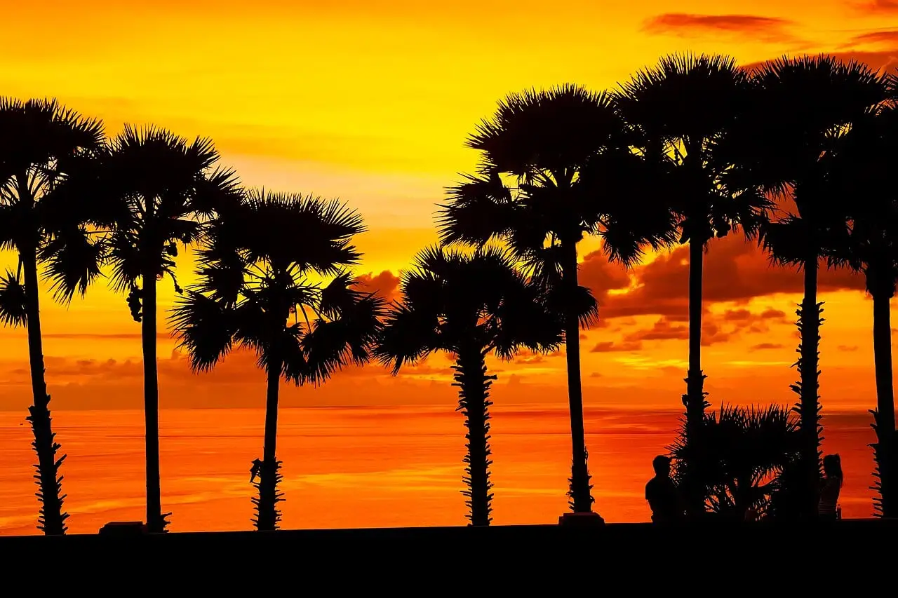 Sunset through the palms at Promthep Cape, Phuket