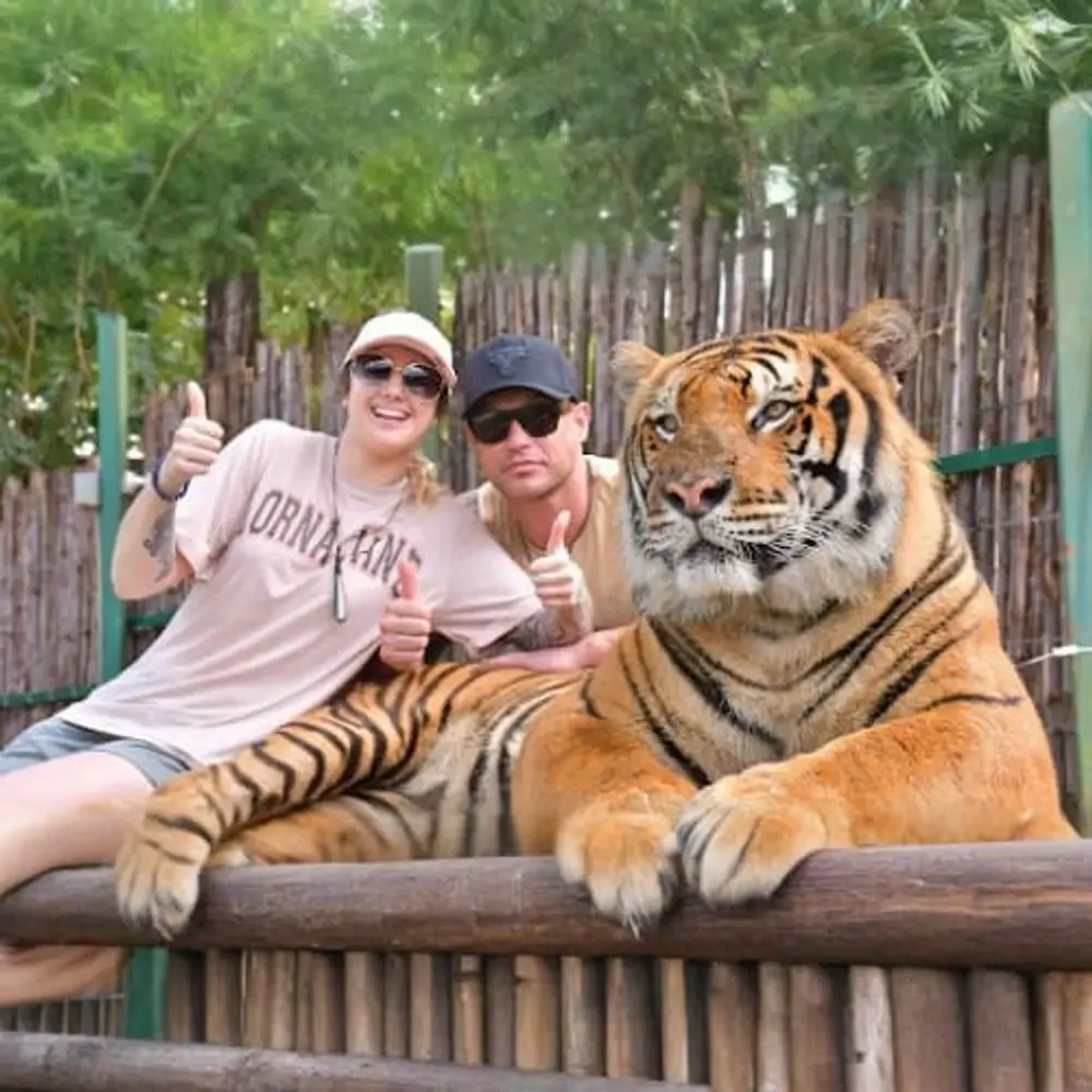Visitors posing with a tiger at Tiger Kingdom