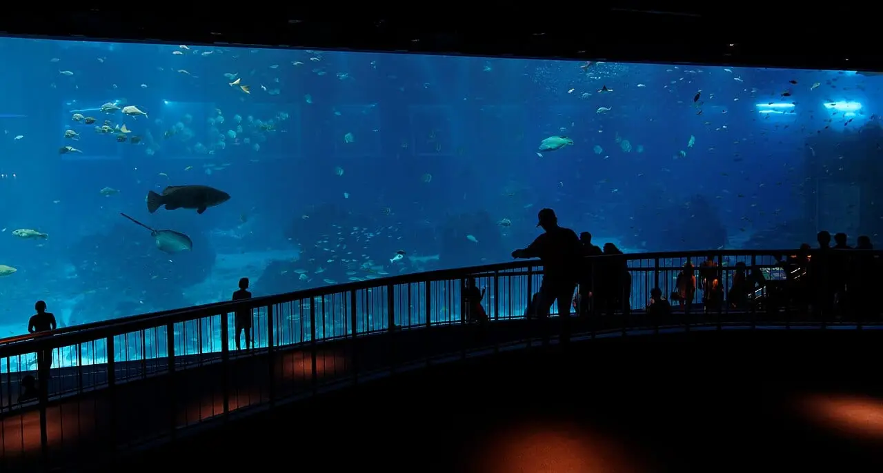 Visitors in front of the giant ocean tank at the aquarium on Sentosa